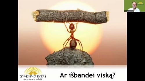 KAIP IŠLIPTI IŠ VISIŠKOS NEVILTIES DUOBĖS